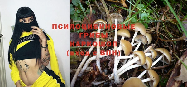 ГАЛЛЮЦИНОГЕННЫЕ ГРИБЫ Алексин