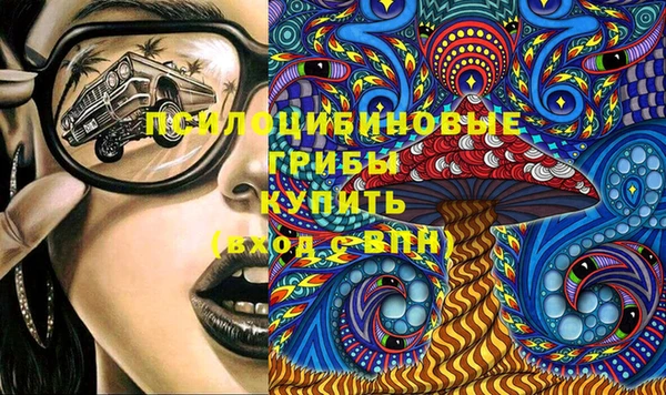 ГАЛЛЮЦИНОГЕННЫЕ ГРИБЫ Алексин