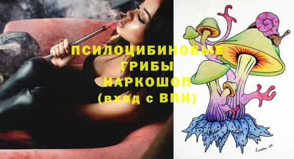 ГАЛЛЮЦИНОГЕННЫЕ ГРИБЫ Алексин