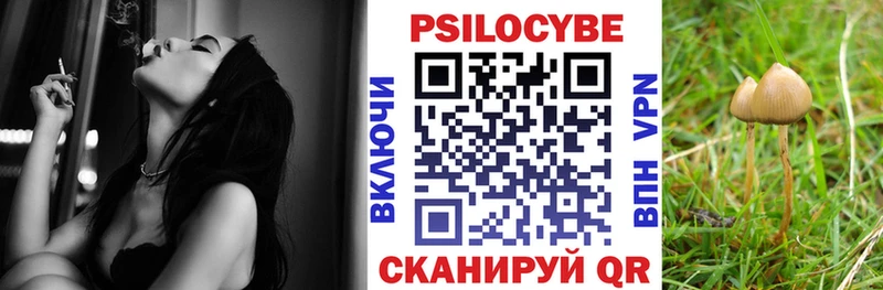 Псилоцибиновые грибы прущие грибы omg онион Кулебаки купить наркотик