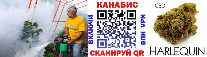 Бошки марихуана Bruce Banner  Кулебаки 